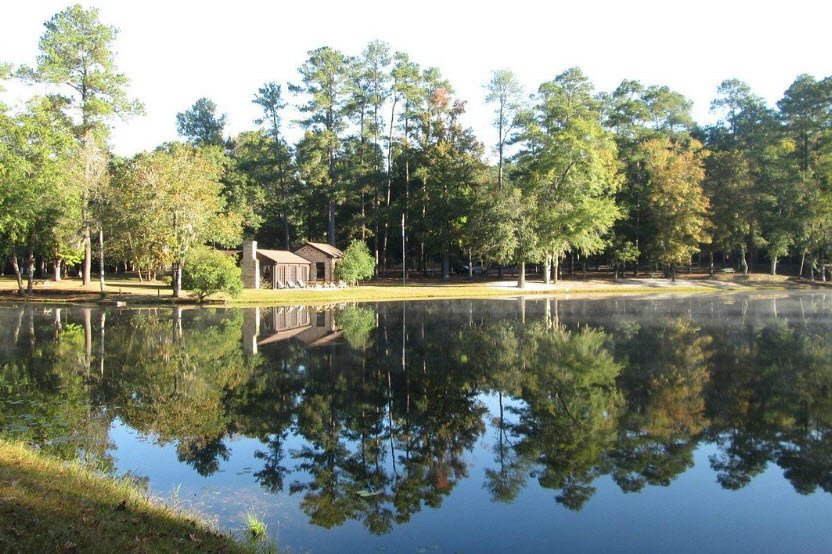 Poinsett State Park, South Carolina, USA